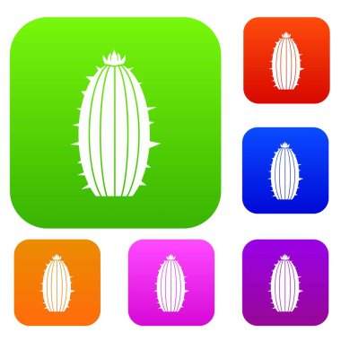 Mammillaria bocasana renk koleksiyonu ayarla