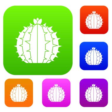 Lophophora kaktüs renk koleksiyonu ayarla