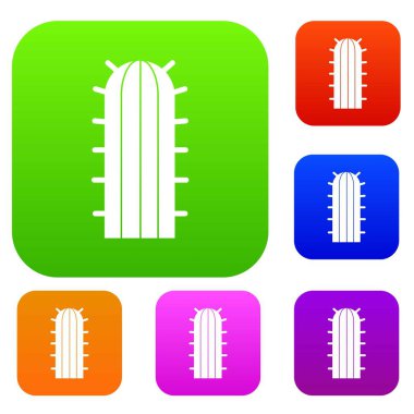 Cereus Candicans kaktüs renk koleksiyonu ayarla