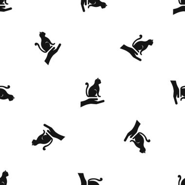 El bir kedi holding model sorunsuz siyah