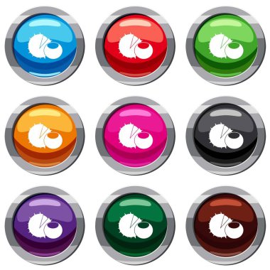 Fındık 9 koleksiyonu ayarla