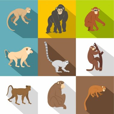 Maymun simge seti, düz stil