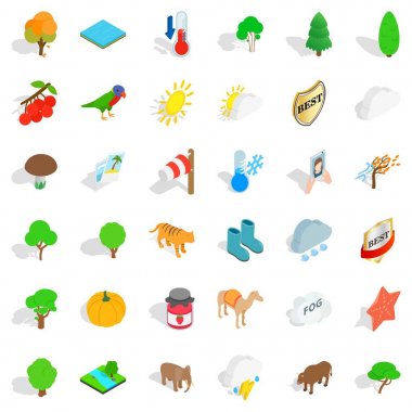 Fil Icons set, izometrik stili