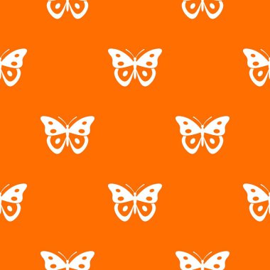 Kelebek pierid model sorunsuz