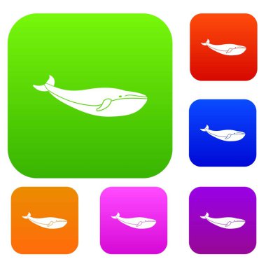 Balina koleksiyonu ayarla