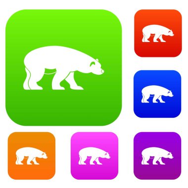 Ayı koleksiyonu ayarla