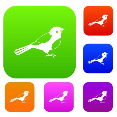 Kuş koleksiyonu ayarla