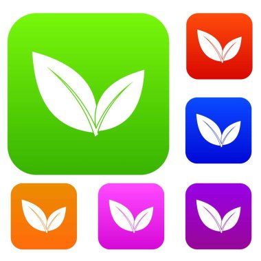 Yaprak koleksiyonu ayarla