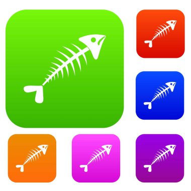 Balık kemik set koleksiyonu