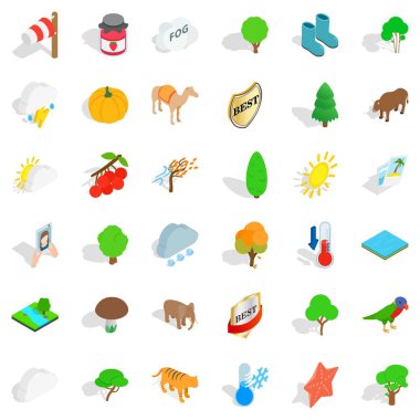 Kaplan Icons set, izometrik stili