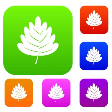 Alıç yaprağı renk koleksiyonu ayarla