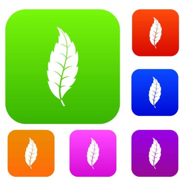 Dar dişli yaprak renk koleksiyonu ayarla