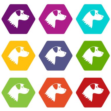 Renk altı yüzlü köpek Icon set