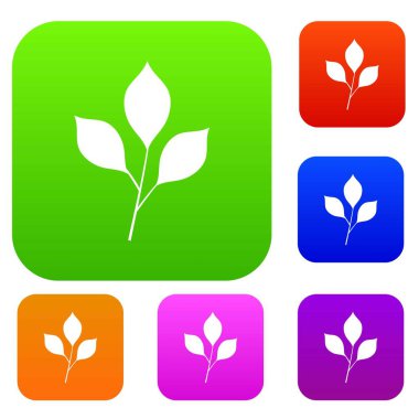 Kiraz yaprakları renk koleksiyonu ayarla