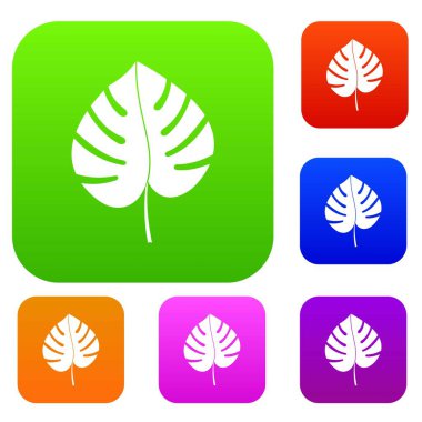 Monstera yaprak renk koleksiyonu ayarla