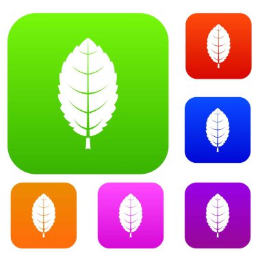 Erik yaprak renk koleksiyonu ayarla