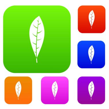 Yaprak rengi koleksiyonu ayarla