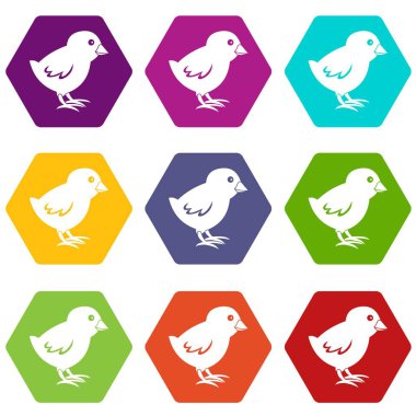 Renk altı yüzlü hatun Icon set