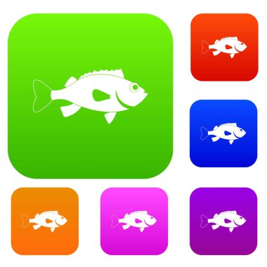 Levrek balık renk koleksiyonu ayarla