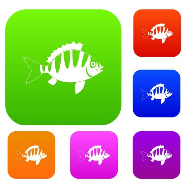 Levrek renk koleksiyonu ayarla