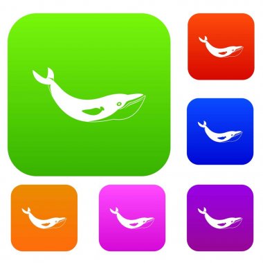 Balina renk koleksiyonu ayarla