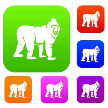 Mandrill'di maymun renk koleksiyonu ayarla