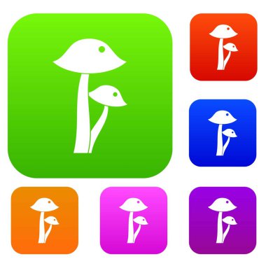 Tatlım mantar set renk koleksiyonu