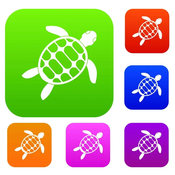 Kaplumbağa renk koleksiyonu ayarla