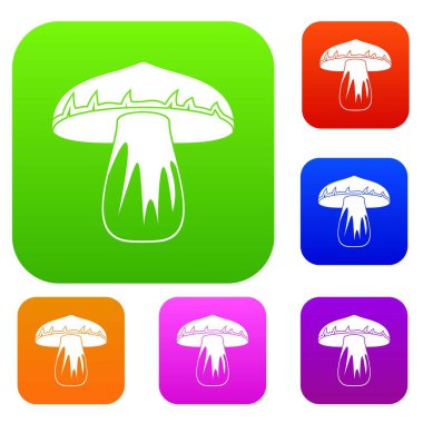 Orman mantar renk koleksiyonu ayarla