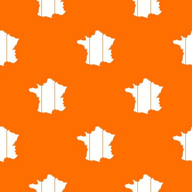 Fransa desen sorunsuz