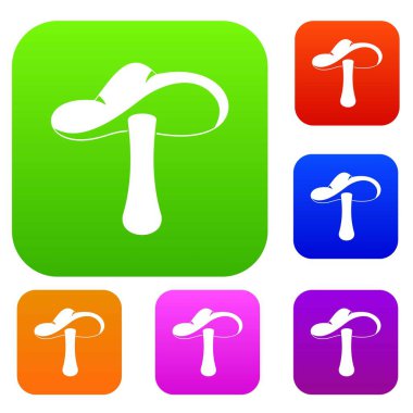 Sonbahar mantar renk koleksiyonu ayarla