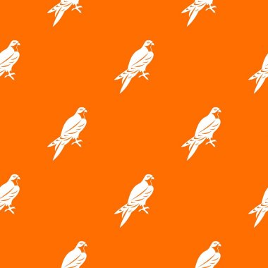 Şahin model sorunsuz