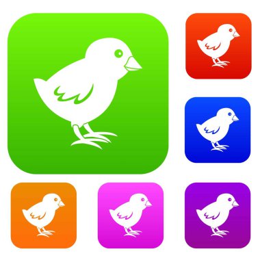 Piliç renk koleksiyonu ayarla