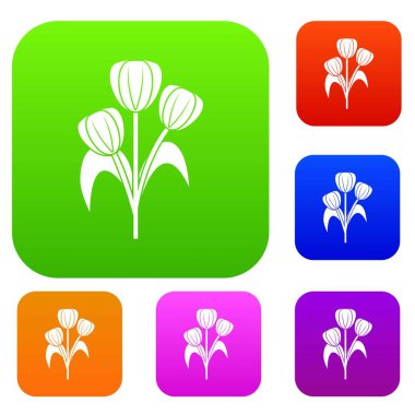 Çiçek renk koleksiyonu ayarla