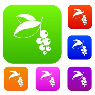 Frenk üzümü çilek set renk koleksiyonu