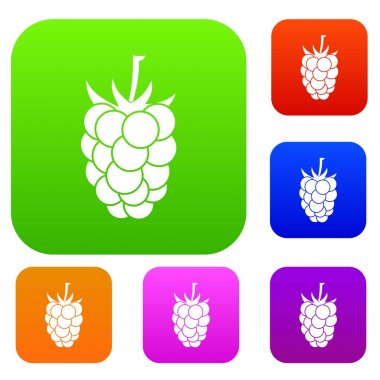 Böğürtlen meyve renk koleksiyonu ayarla