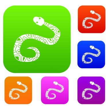 Yılan renk koleksiyonu ayarla