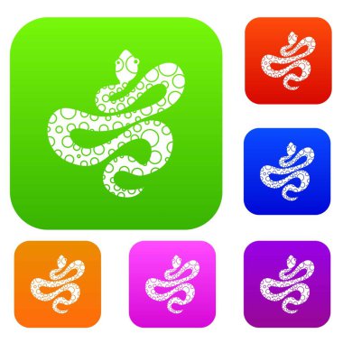 Siyah noktalı yılan renk koleksiyonu ayarla