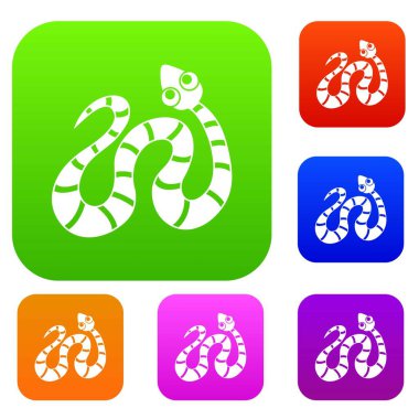 Siyah çizgili yılan renk koleksiyonu ayarla