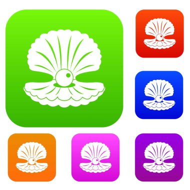 Pearl shell set renk koleksiyonu