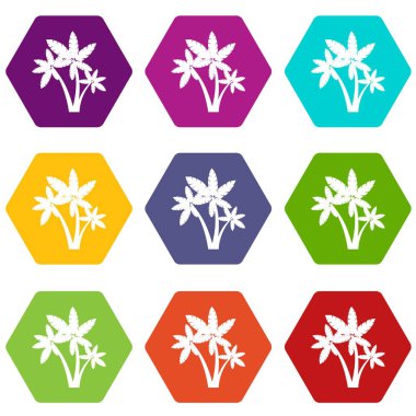 Üç palmiye ağaçları simge kümesi renk altı yüzlü