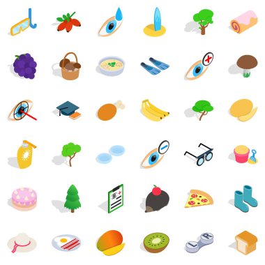 Berry Icons set, izometrik stili