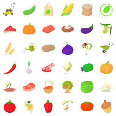 Kabak Icons set, izometrik stili