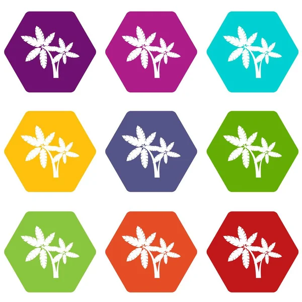 Conjunto icono Palma hexaedro color — Vector de stock
