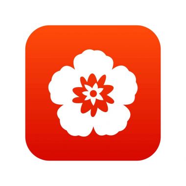 Sharon, Kore çiçek simgesi dijital kırmızı gül