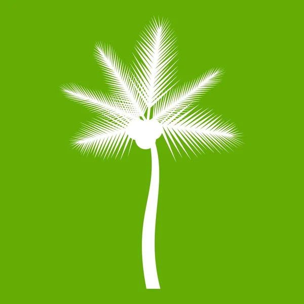 Palm butia capitata ícone verde —  Vetores de Stock