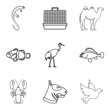 Profesyonel veteriner Icons set, anahat stili