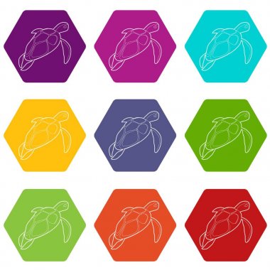 9 vektör kaplumbağa Icons set