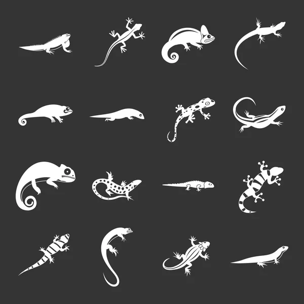 Lagarto iconos conjunto gris vector — Archivo Imágenes Vectoriales