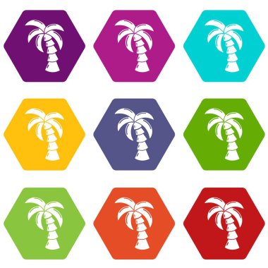 9 vektör Palm Icons set